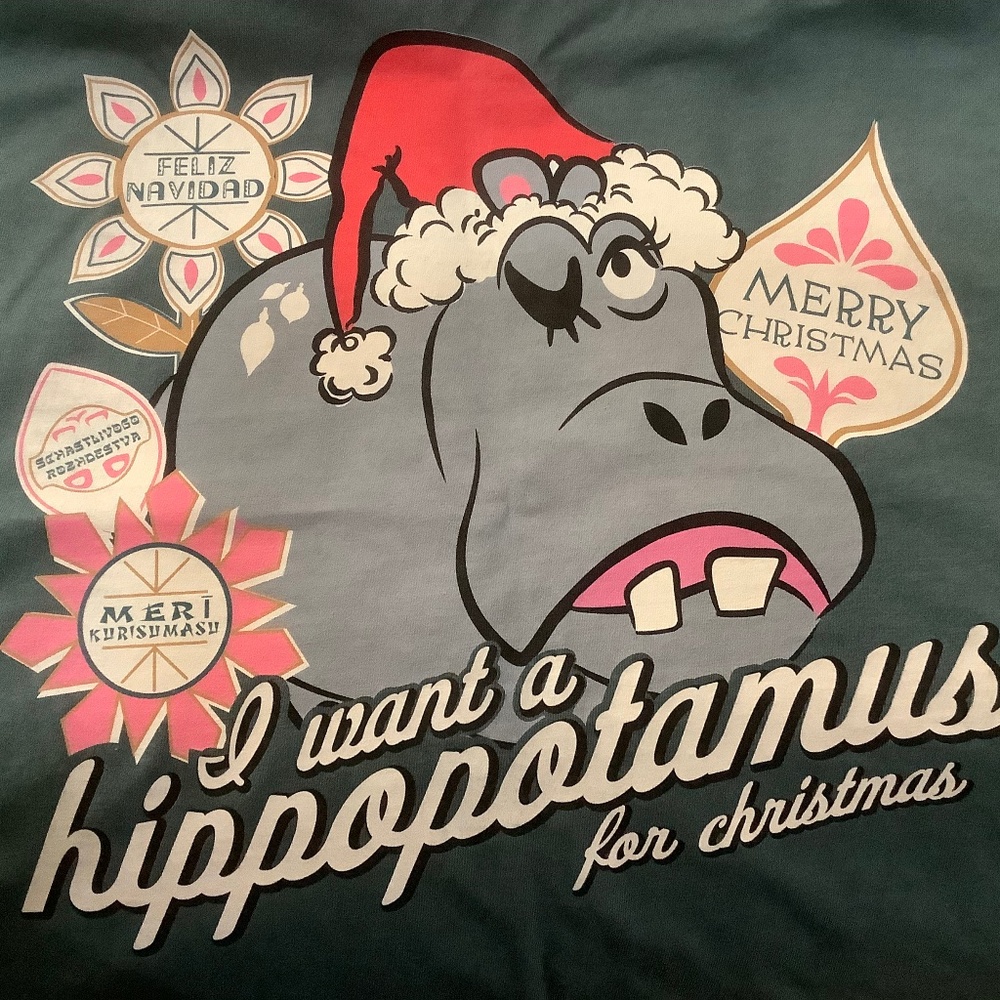 Disney Christmas shirt